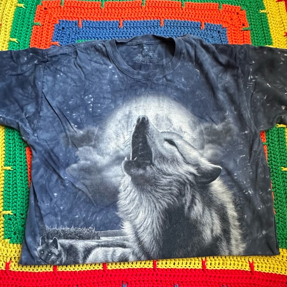 Vintage The Mountain T-Shirt -Blue